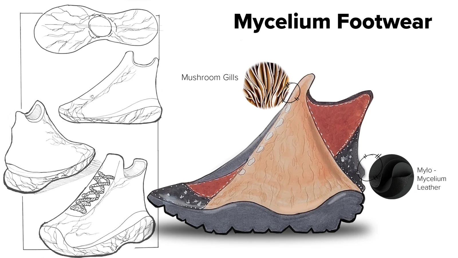 Tayo_Mycelium_Slide_1.webp